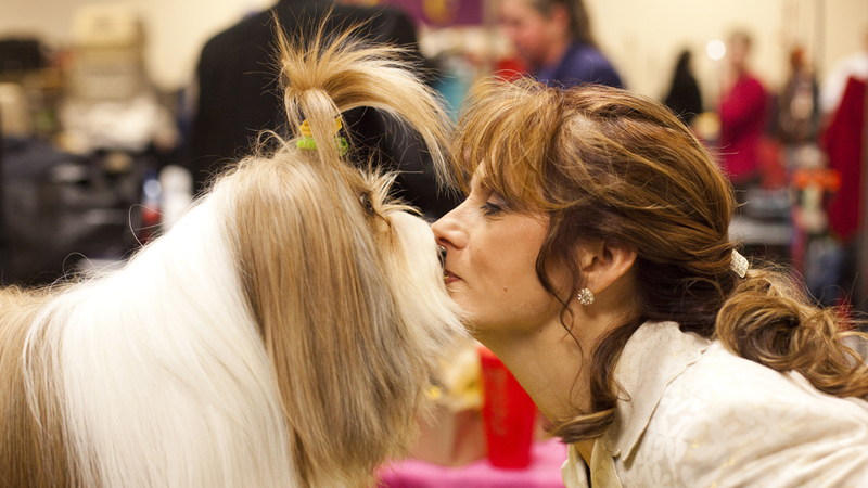 Illustration for article titled Elegant Updos and Classy Coats at the Westminster Dog Show